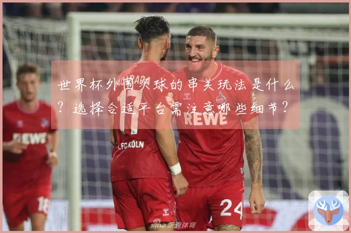 世界杯外围买球的串关玩法是什么?选择合适平台需注意哪些细节?